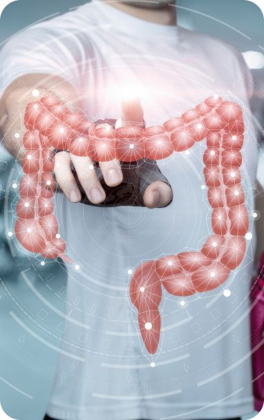 bibiotic sport helps